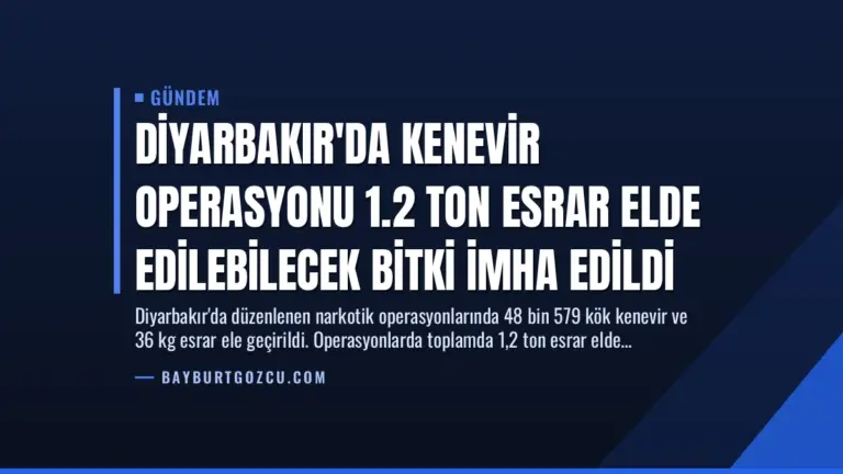 Diyarbakır’da Kenevir Operasyonu 1.2 Ton Esrar Elde Edilebilecek Bitki İmha Edildi