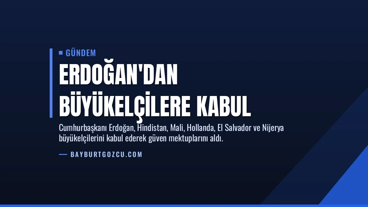 Erdoğan’dan Büyükelçilere Kabul