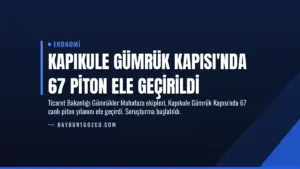 Kapıkule Gümrük Kapısı’nda 67 Piton Ele Geçirildi