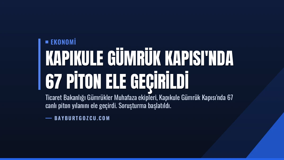 Kapıkule Gümrük Kapısı’nda 67 Piton Ele Geçirildi
