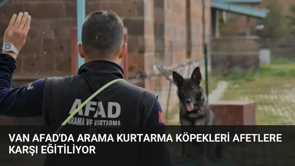 Van AFAD'da Arama Kurtarma Köpekleri Afetlere Karşı Eğitiliyor