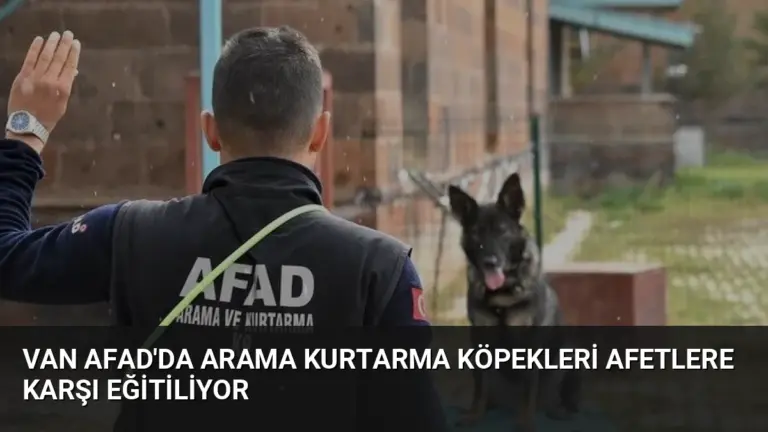 Van AFAD'da Arama Kurtarma Köpekleri Afetlere Karşı Eğitiliyor